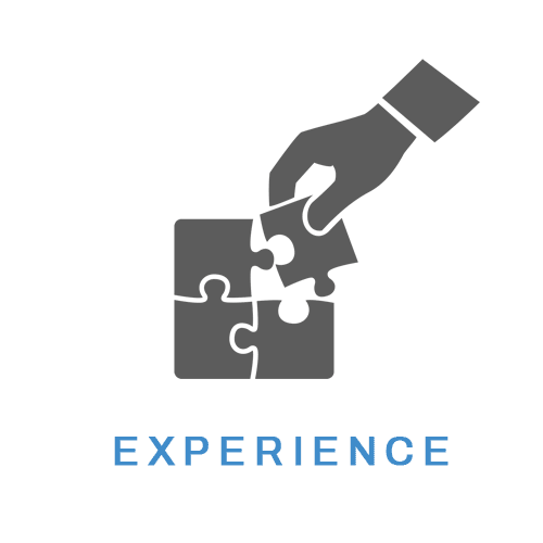 Experience