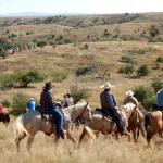 Los Charros Article Header
