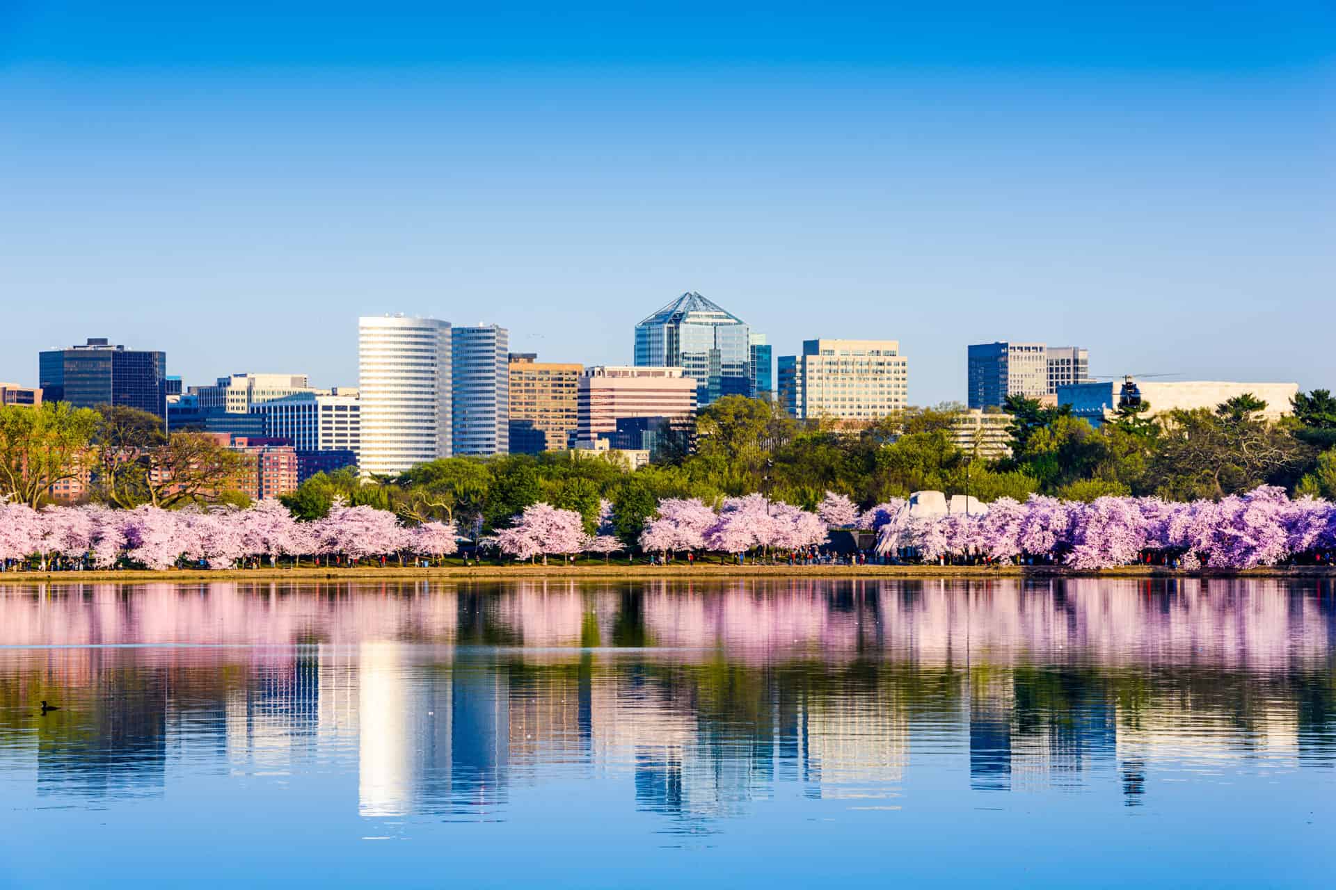 CWS Sponsors the OASIS Industry Day Washington, D.C.